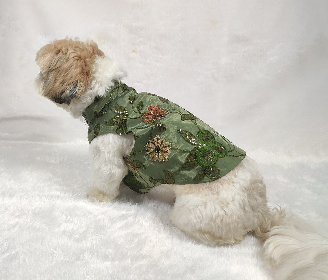 Organza Embroidery Work Olive Green Jacket From Floobie Tails