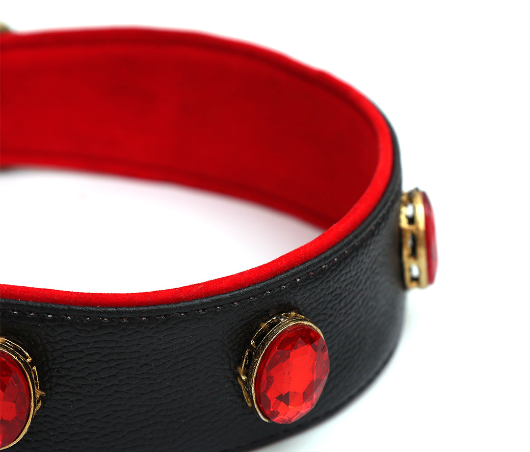 Red Knight Collar From PawDrip