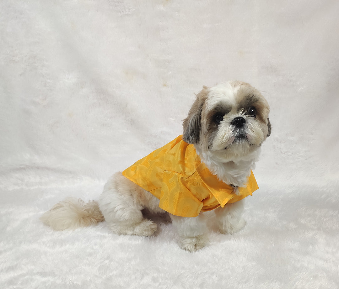 Kota Doria Yellow Shirt From Floobie Tails