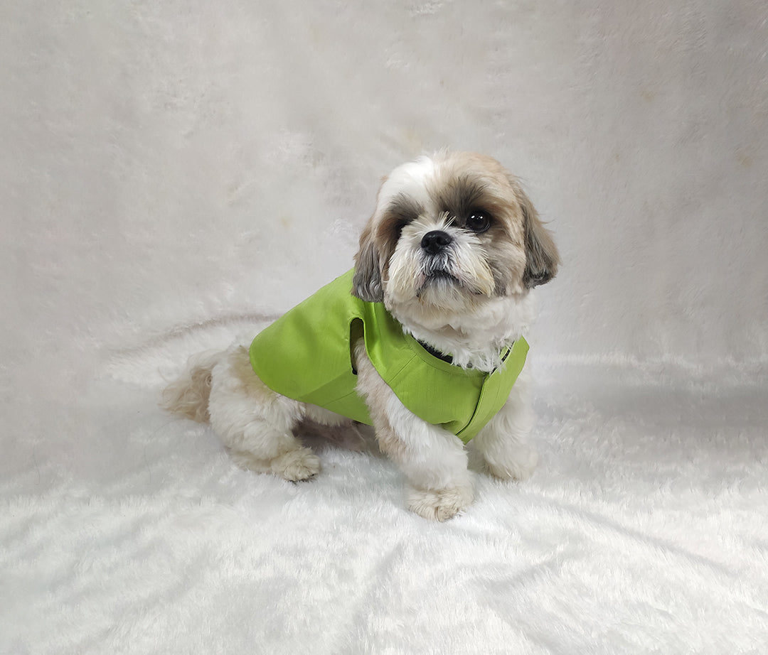 Zari Embroidery Cotton Lace Work Green Jacket From Floobie Tails