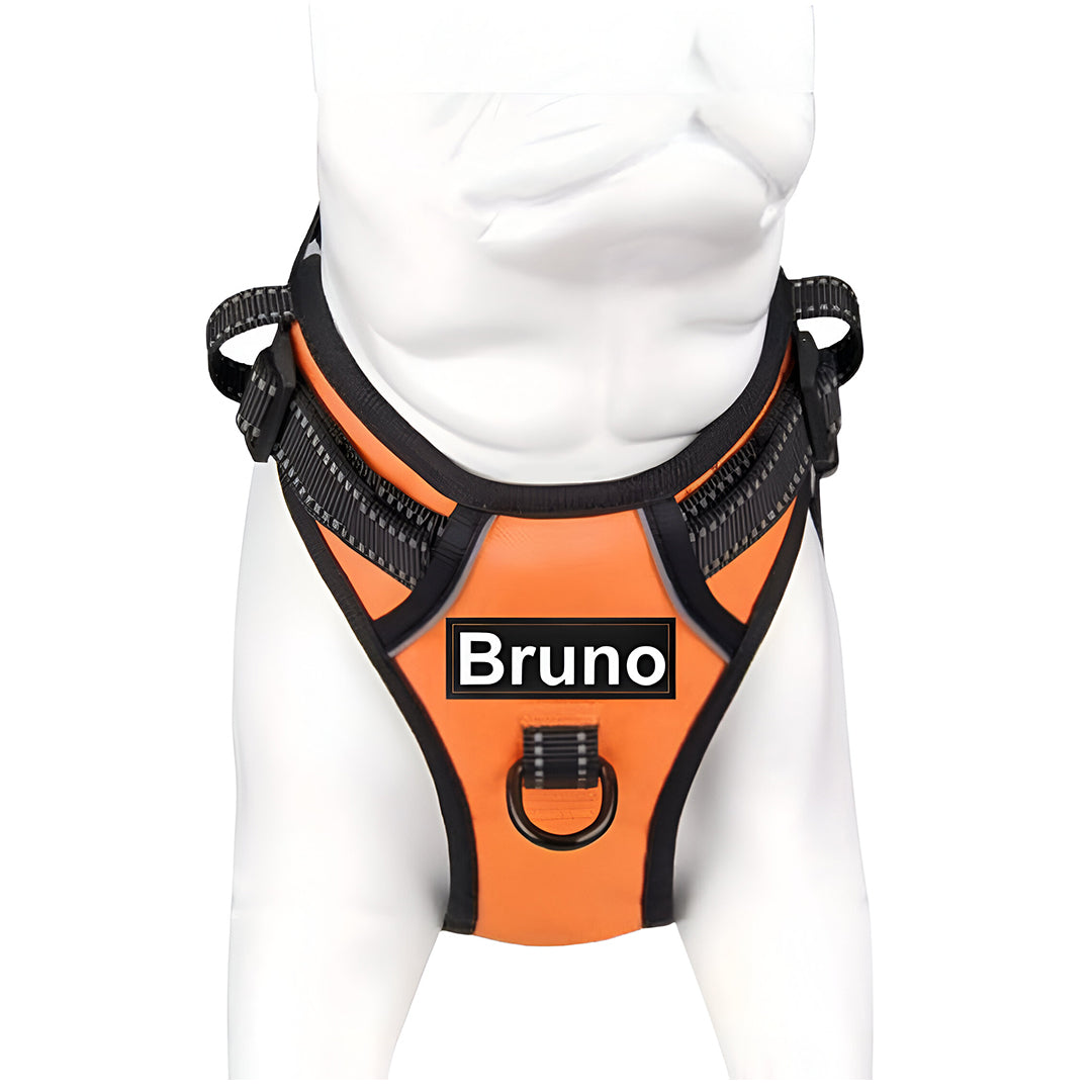 No Pull Padded Reflective Strap Personalized Dog Harness With Leash Orange