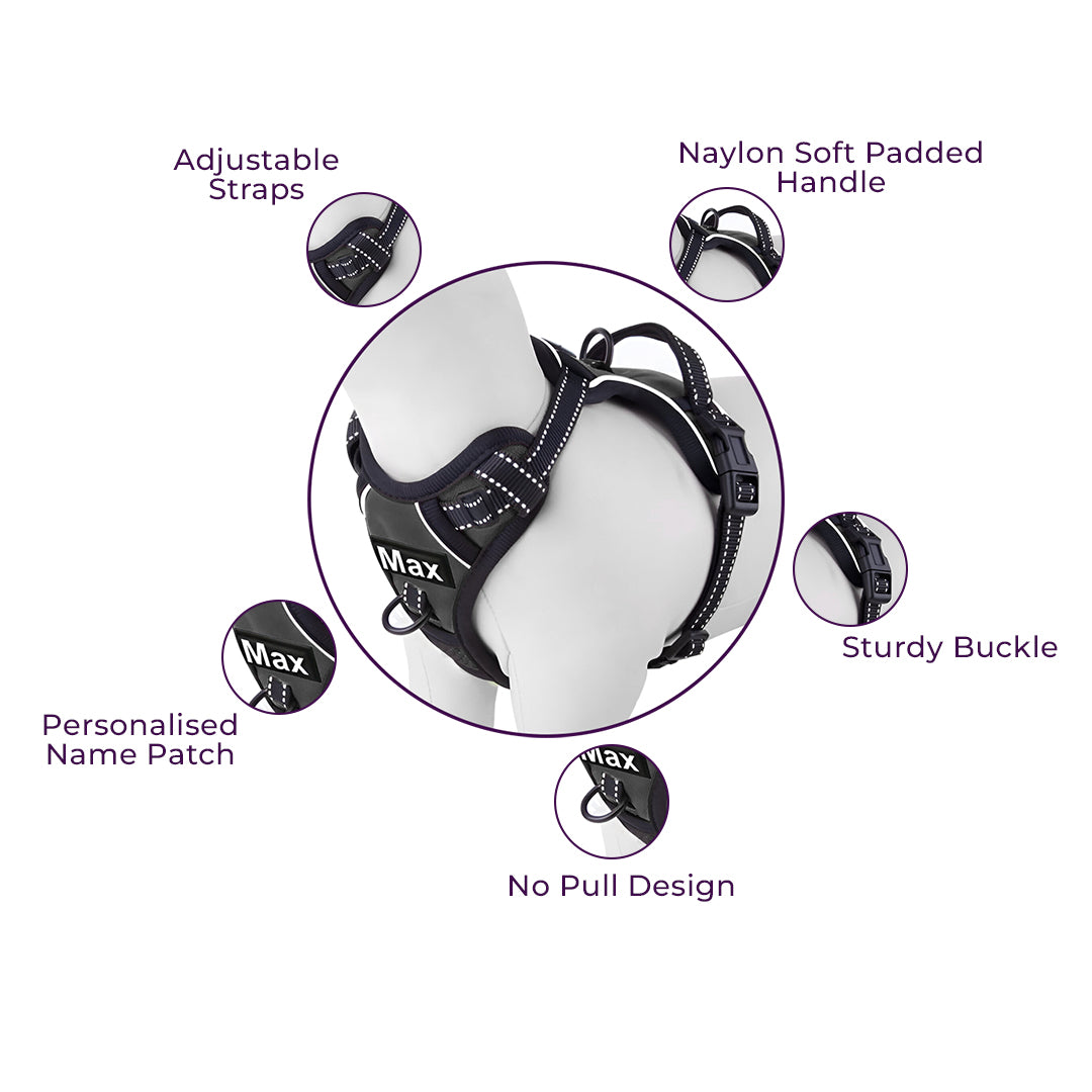 No Pull Padded Reflective Strap Personalized Dog Harness With Leash Black