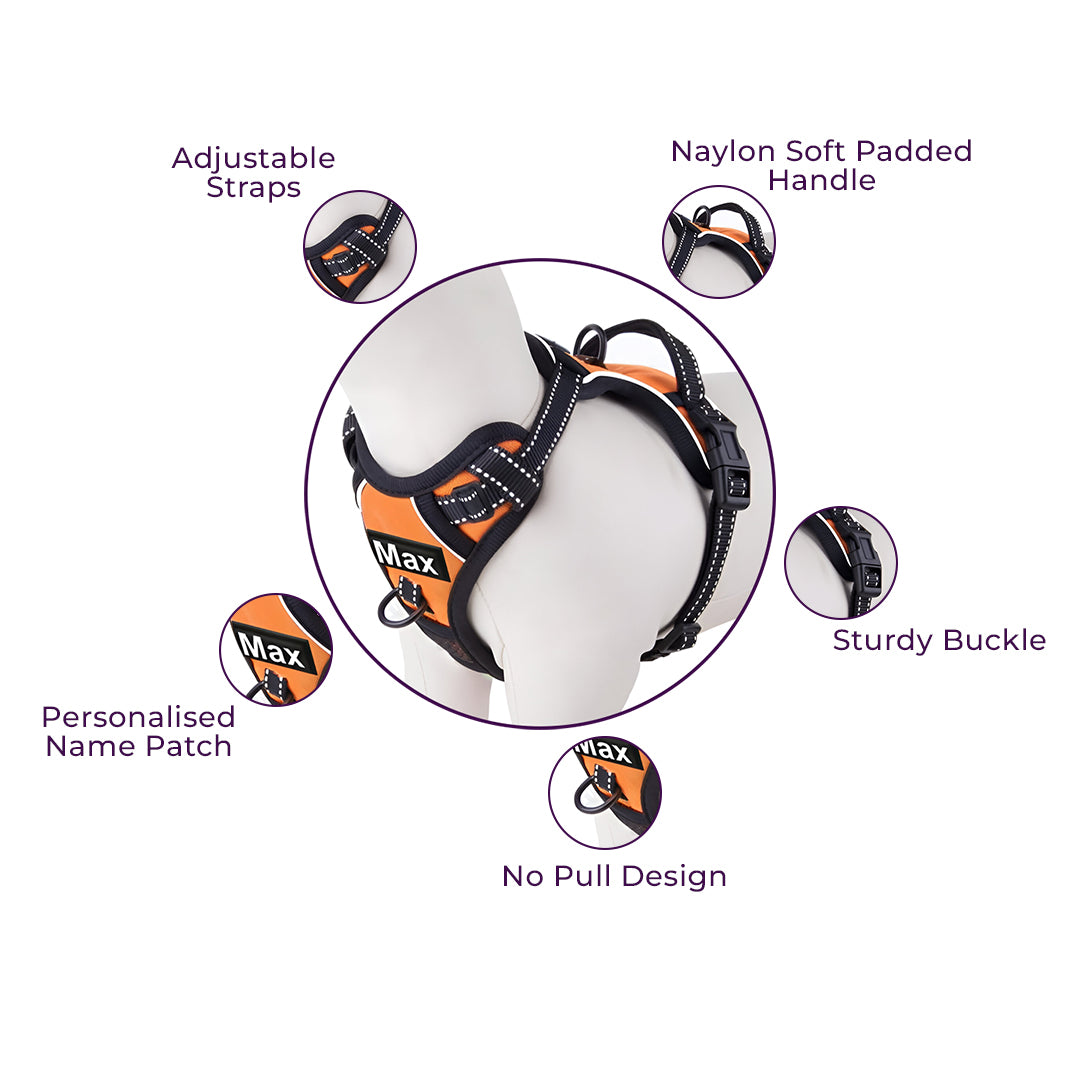 No Pull Padded Reflective Strap Personalized Dog Harness With Leash Orange