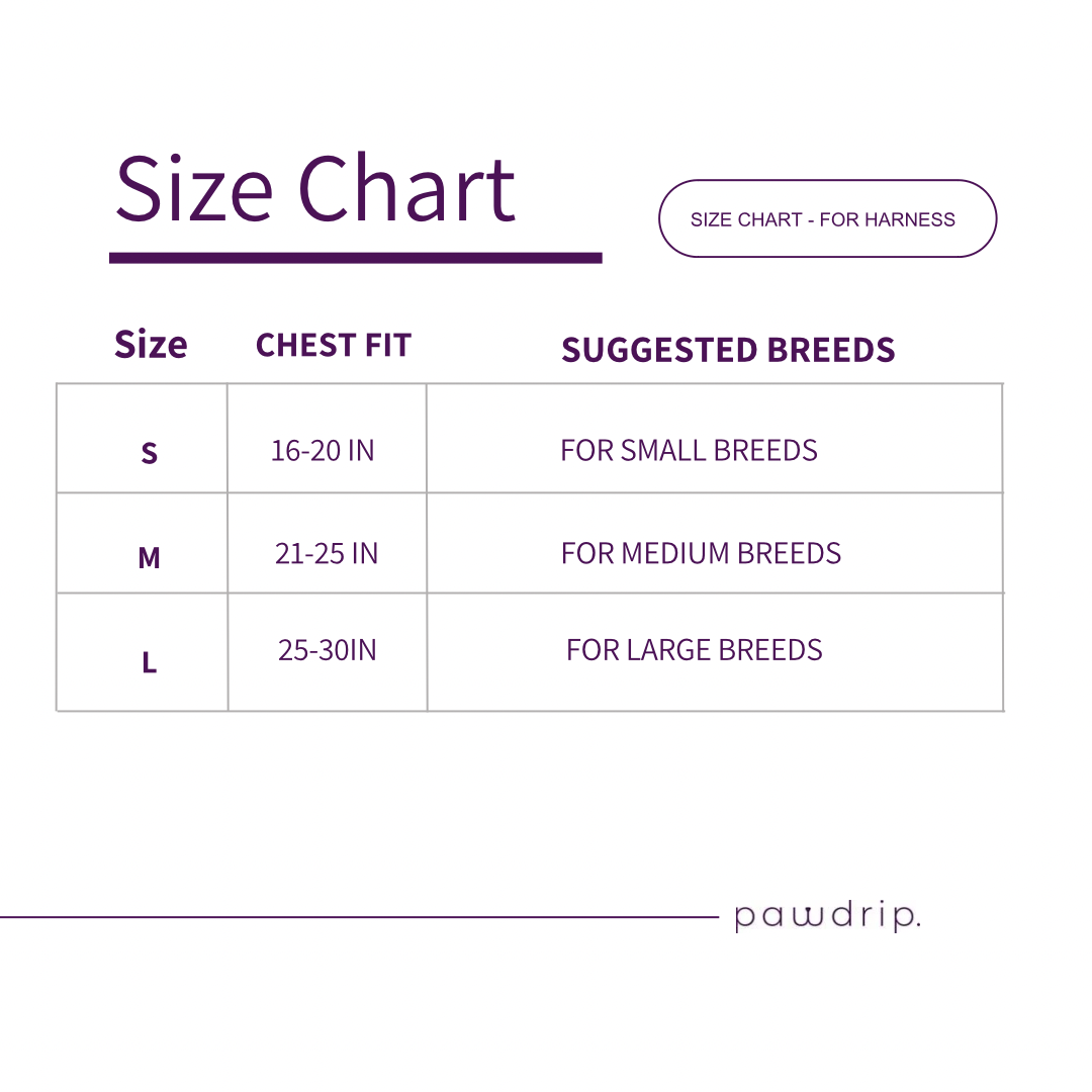 No Pull Padded Reflective Strap Personalized Dog Harness With Leash Red