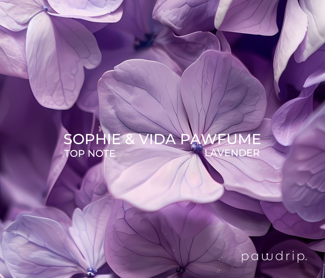 Sophie & Vida Perfume Pet Pawfume 10ml From PawDrip
