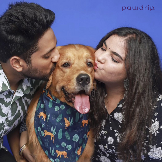 The Ultimate Guide to Dog Care: Keeping Your Furry Friend Happy & Healthy