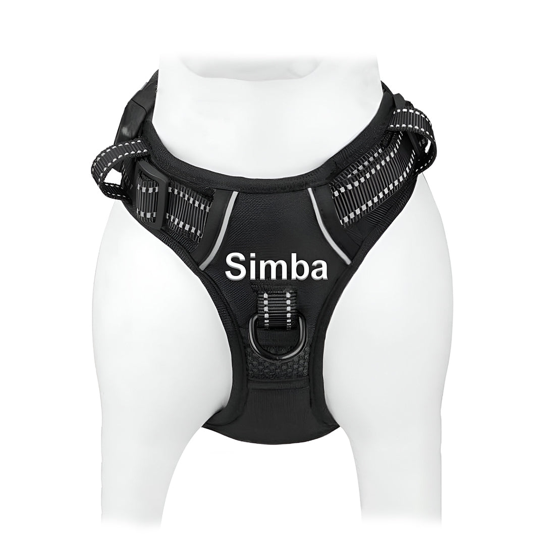 Harness Collection PawDrip