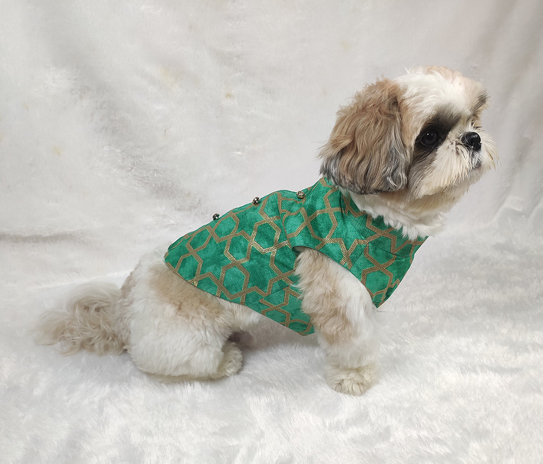 Kota Doria Back Button Jacket From Floobie Tails