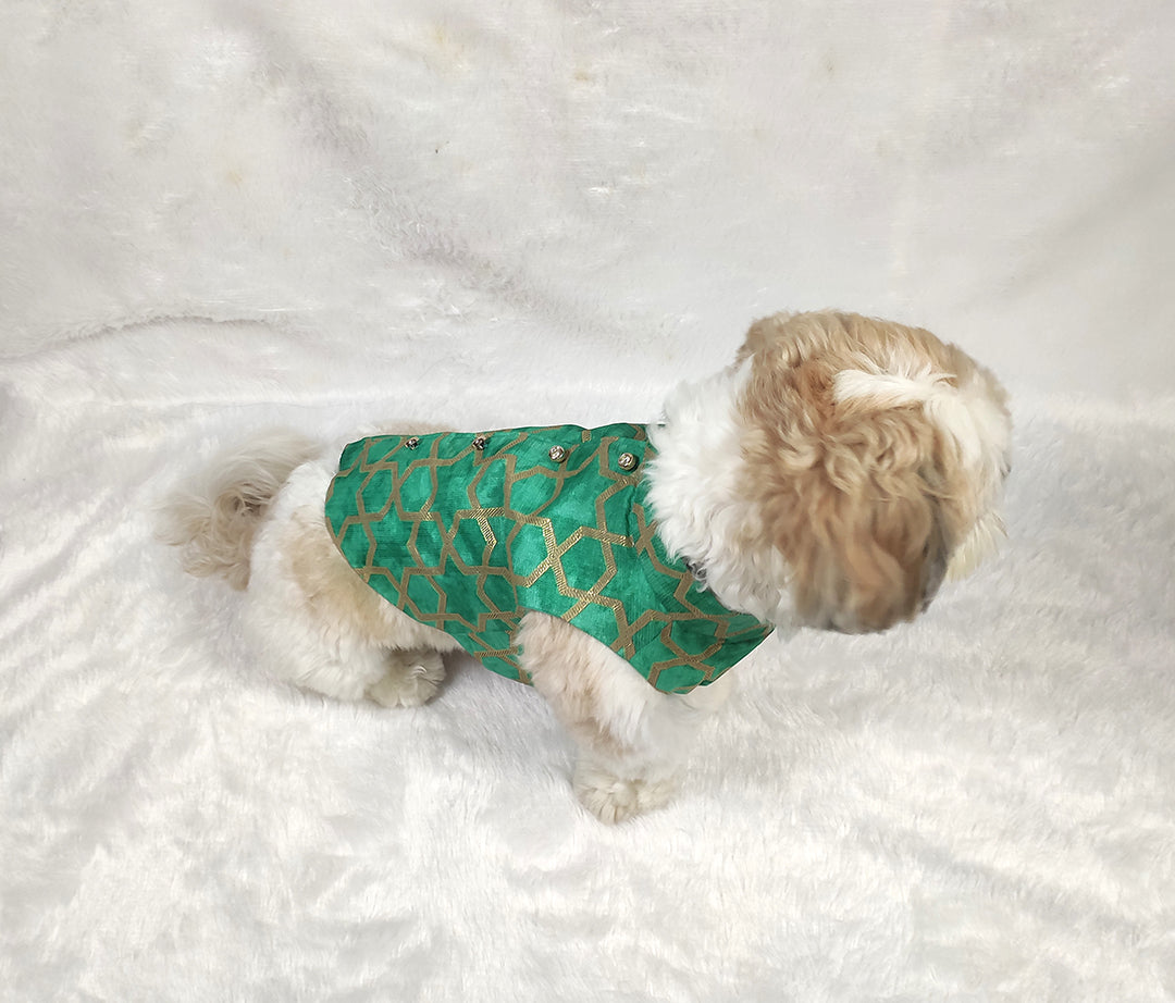 Kota Doria Back Button Jacket From Floobie Tails