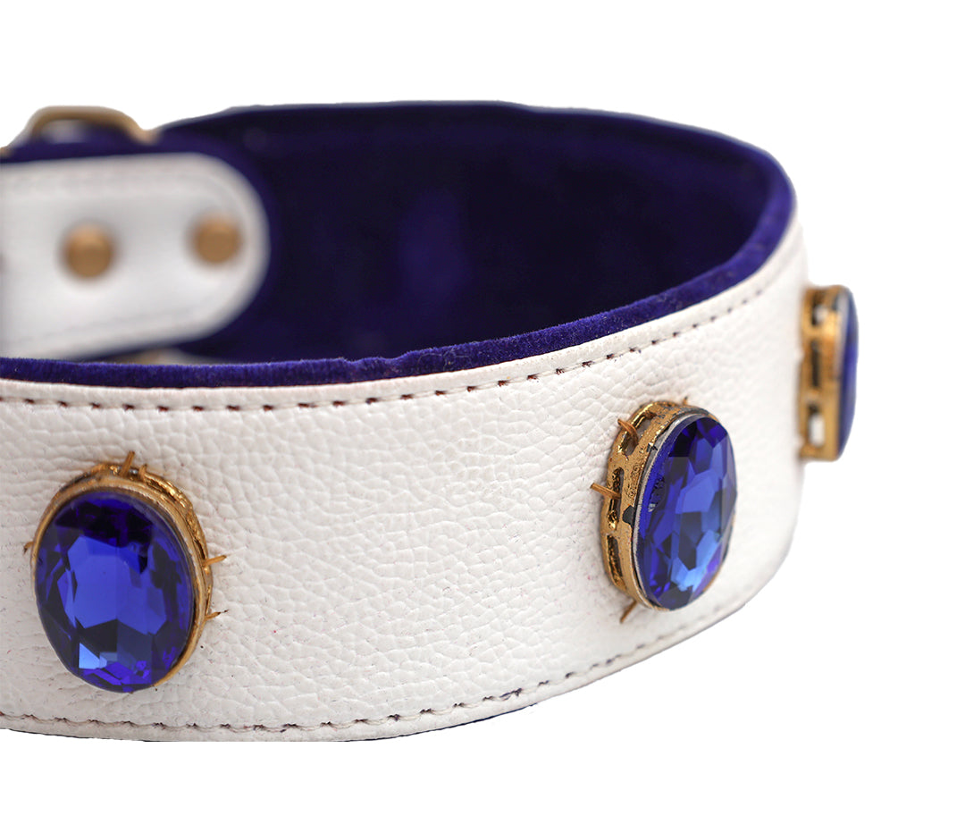 Blue Ocean Collar From PawDrip