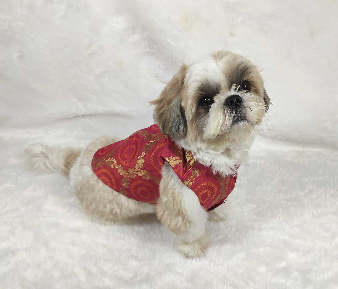 Pink Brocade Loop Jacket From Floobie Tails