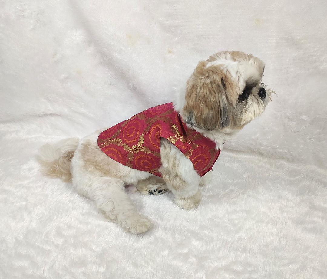 Pink Brocade Loop Jacket From Floobie Tails