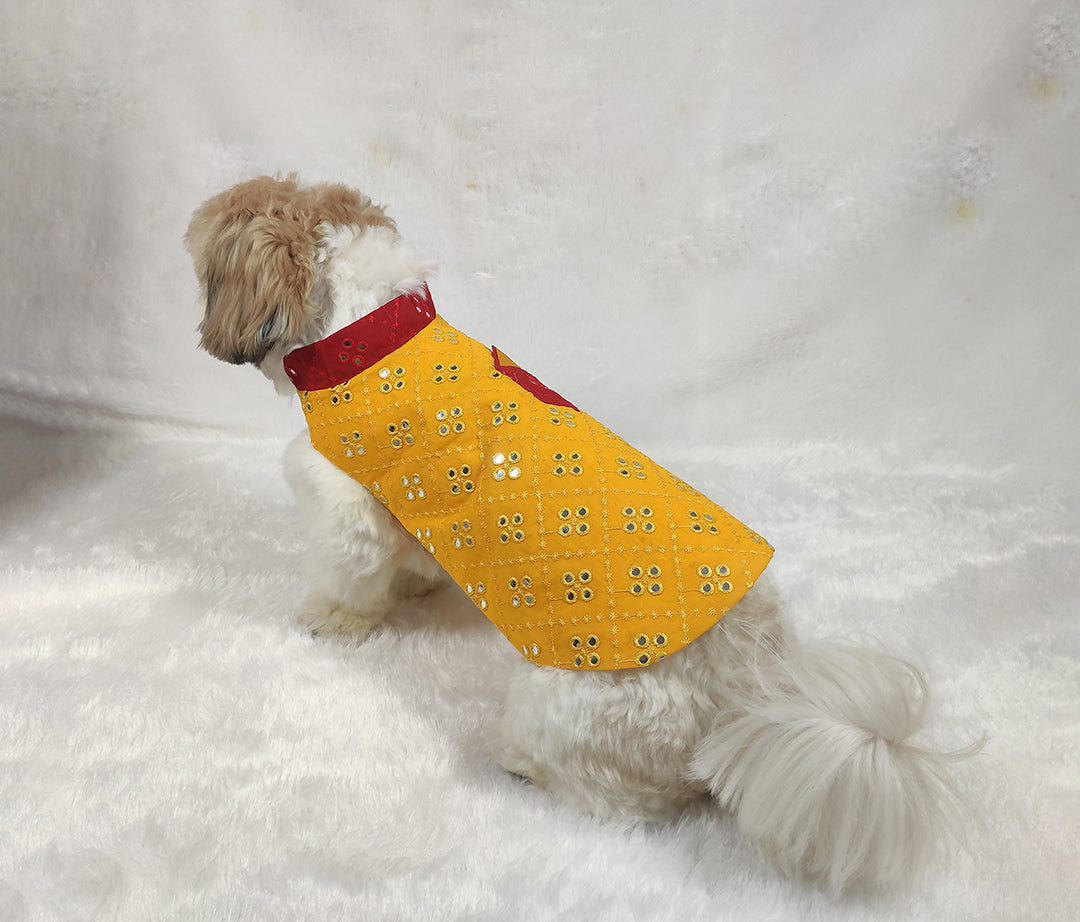 Mirror Work Yellow Straight Jacket From Floobie Tails