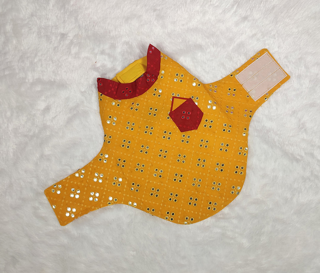 Mirror Work Yellow Straight Jacket From Floobie Tails