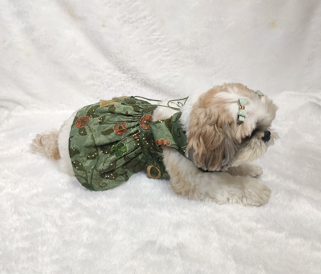 Organza Embroidery Work Olive Green Frock From Floobie Tails