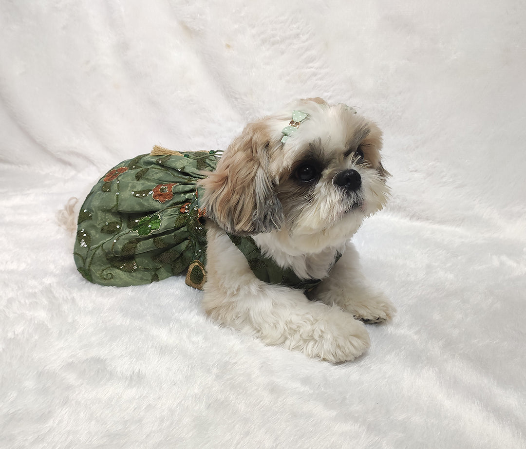 Organza Embroidery Work Olive Green Frock From Floobie Tails