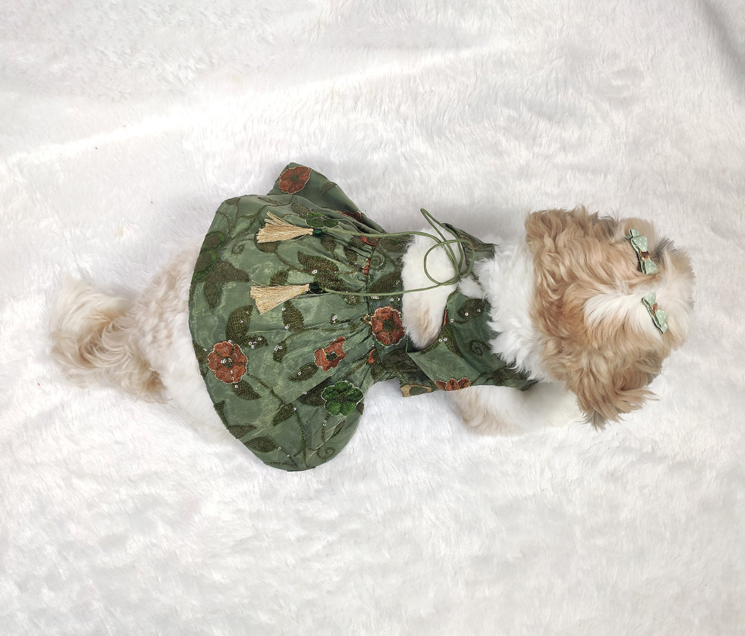 Organza Embroidery Work Olive Green Frock From Floobie Tails