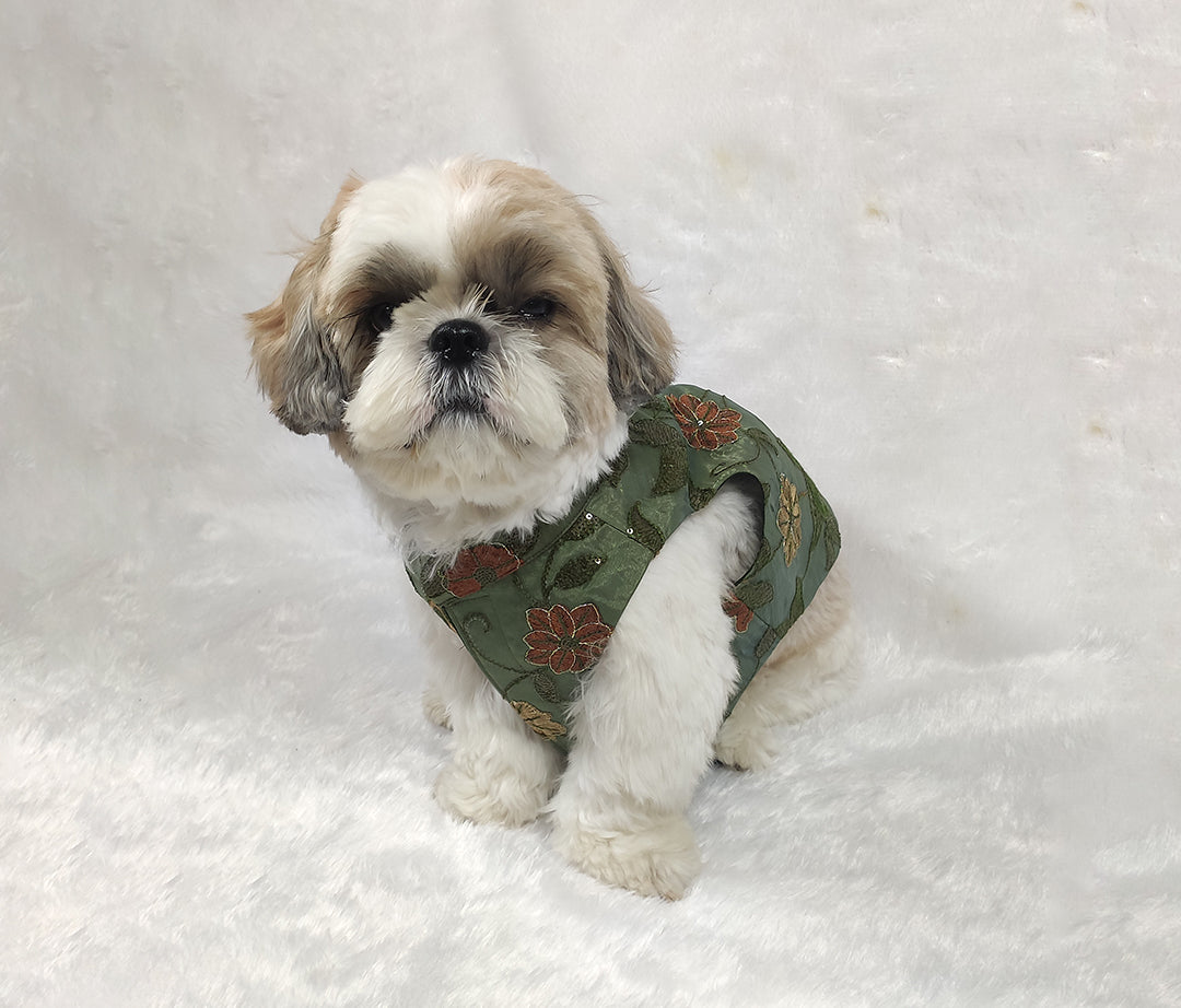 Organza Embroidery Work Olive Green Jacket From Floobie Tails