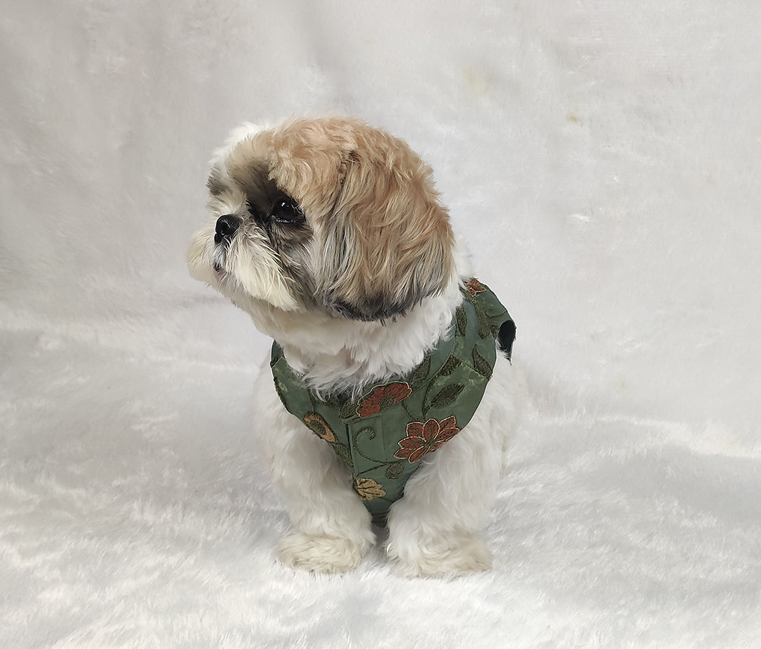 Organza Embroidery Work Olive Green Jacket From Floobie Tails
