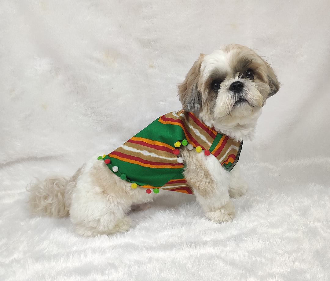Green Georgette Leheriya Pom Pom Jacket From Floobie Tails