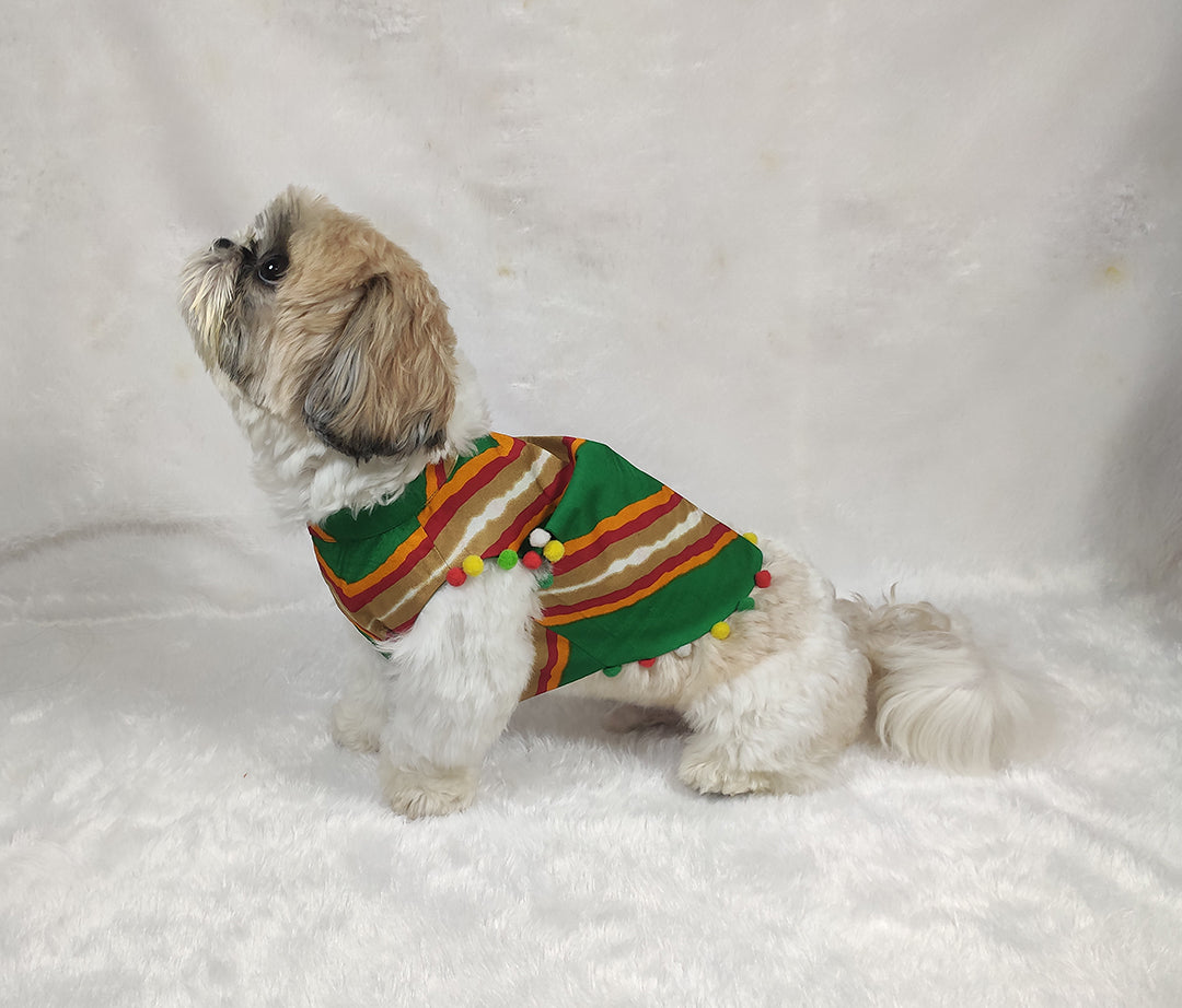 Green Georgette Leheriya Pom Pom Jacket From Floobie Tails