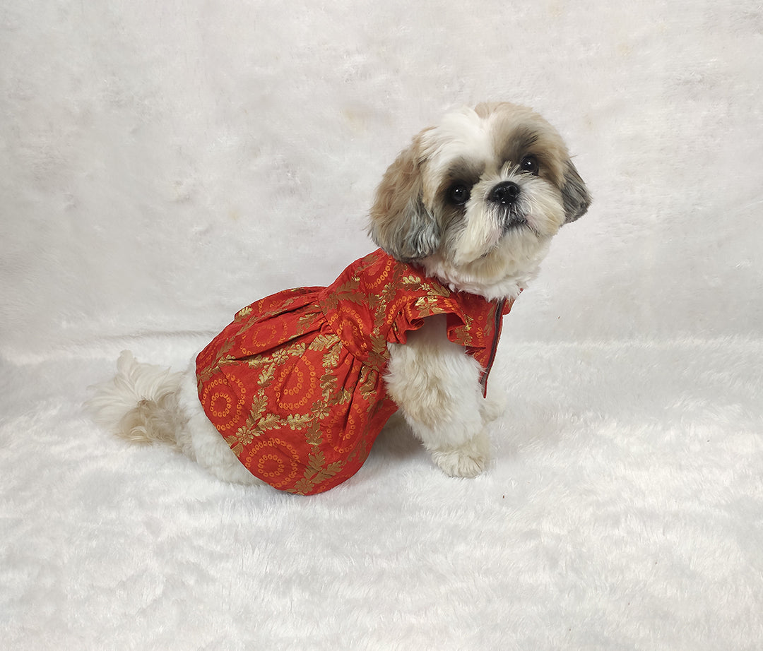 Orange Brocade Ruffle Frill Frock From Floobie Tails