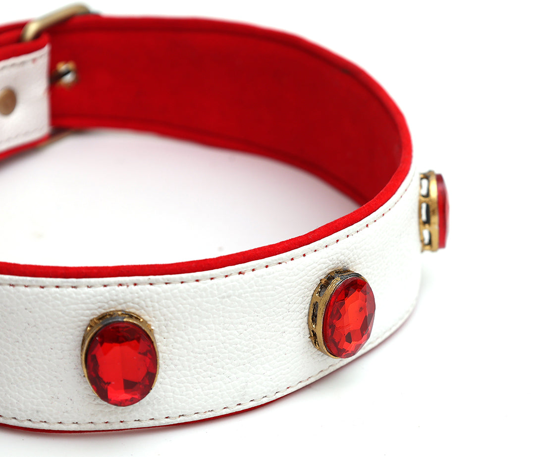 Red Wine Collar From PawDrip