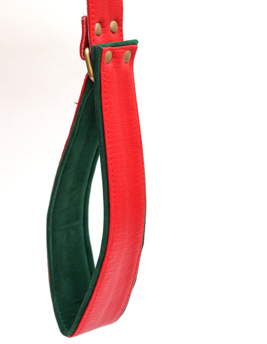Evergreen Leashe From PawDrip