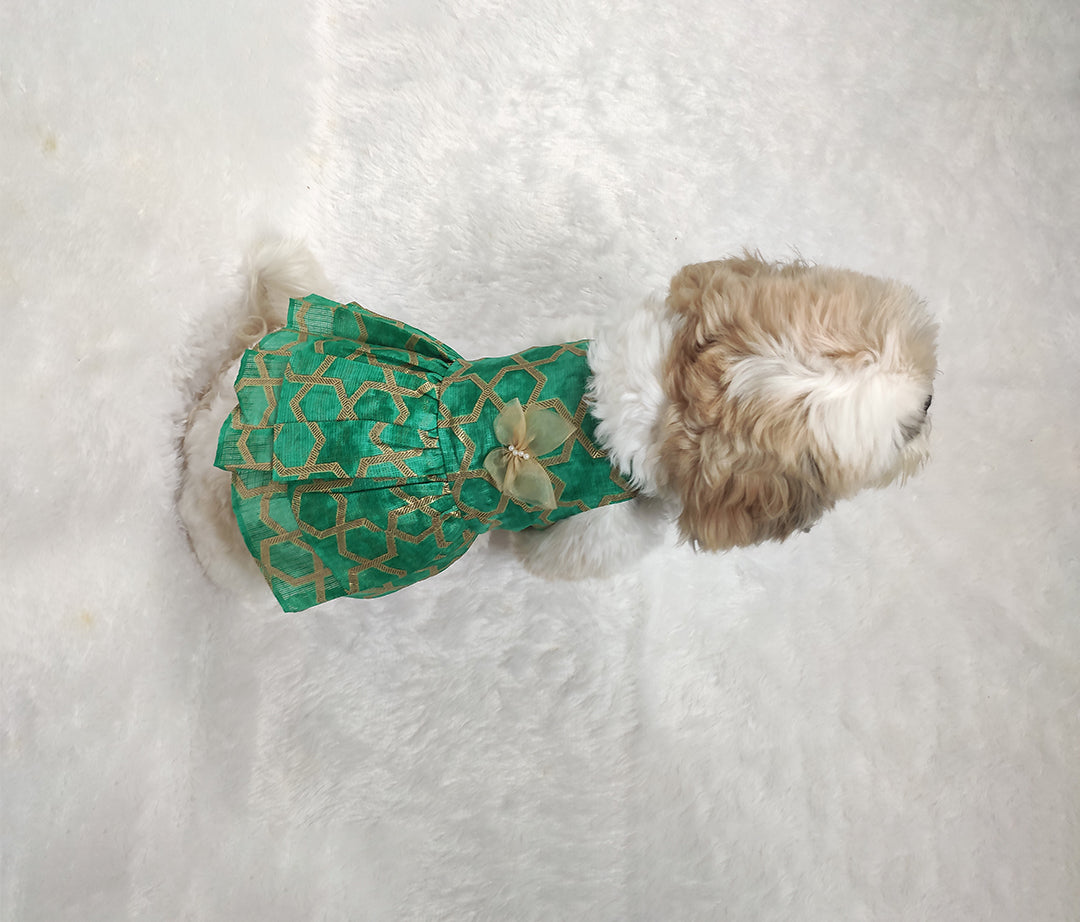Kota Doria Cold Shoulder Frock From Floobie Tails