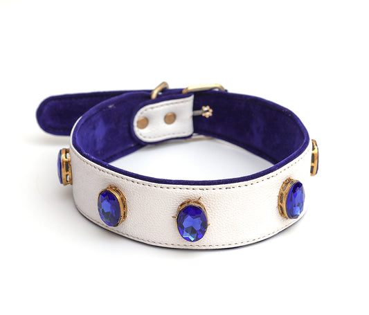Blue Ocean Collar From PawDrip