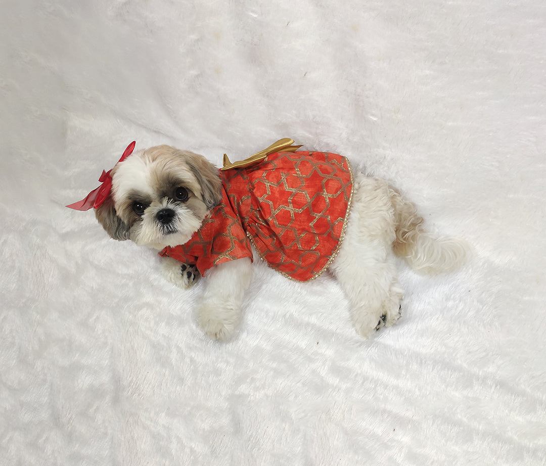 Kota Doria Shirt Collar Orange Frock From Floobie Tails