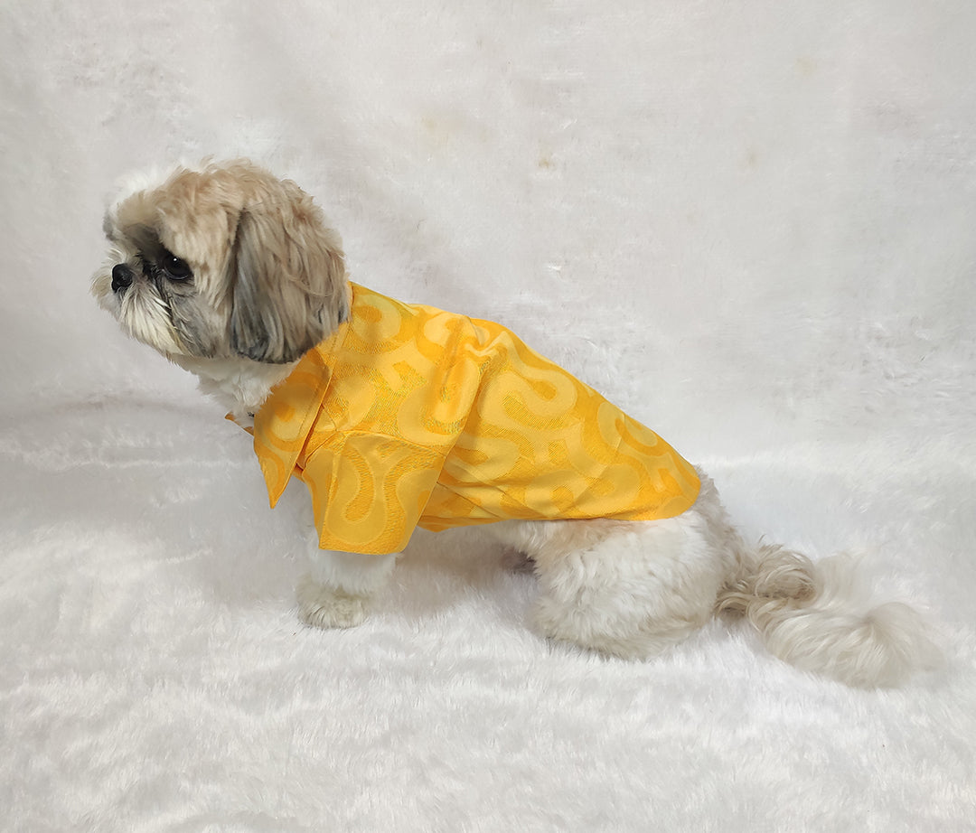 Kota Doria Yellow Shirt From Floobie Tails