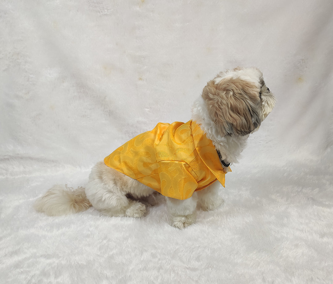 Kota Doria Yellow Shirt From Floobie Tails