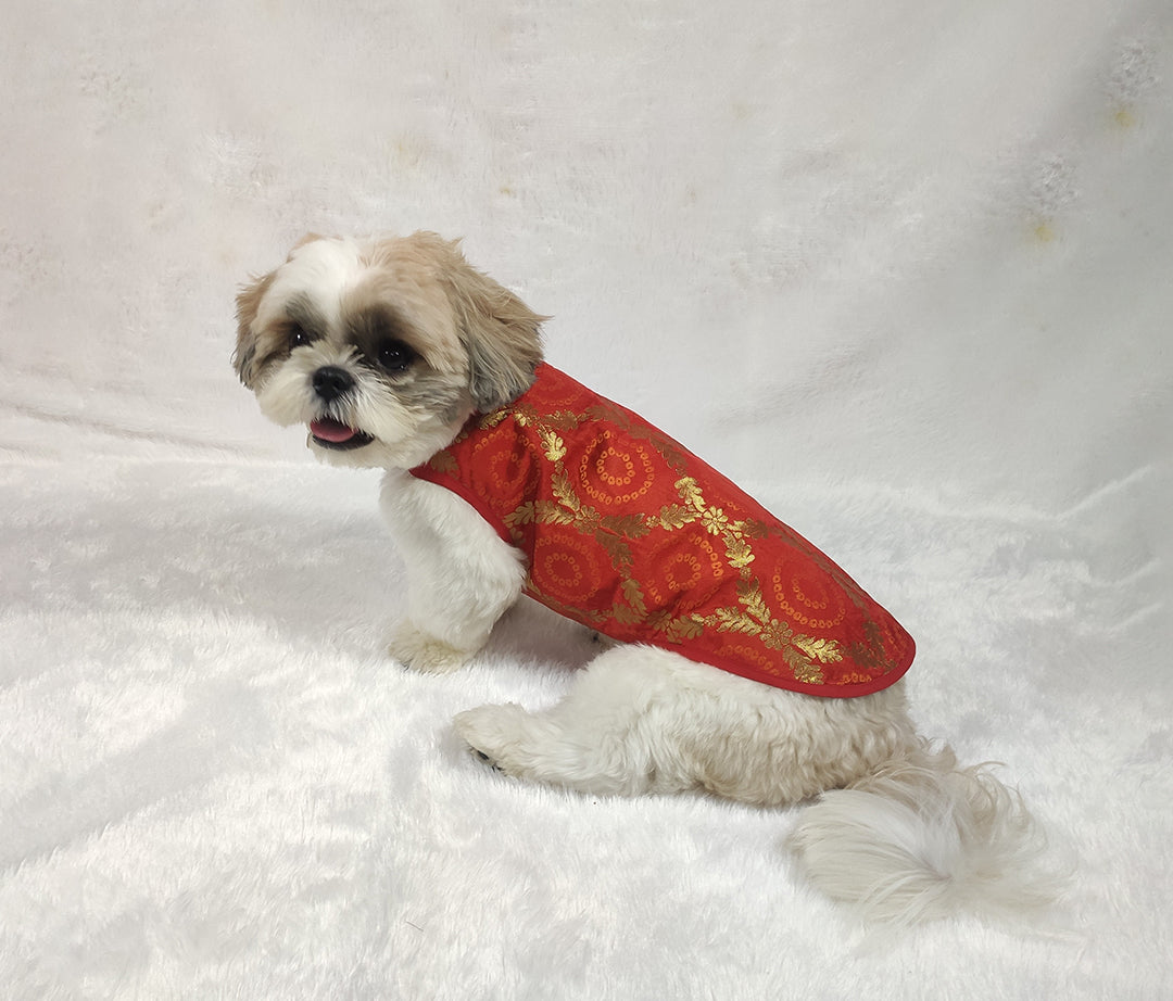 Orange Brocade Straight Jacket From Floobie Tails