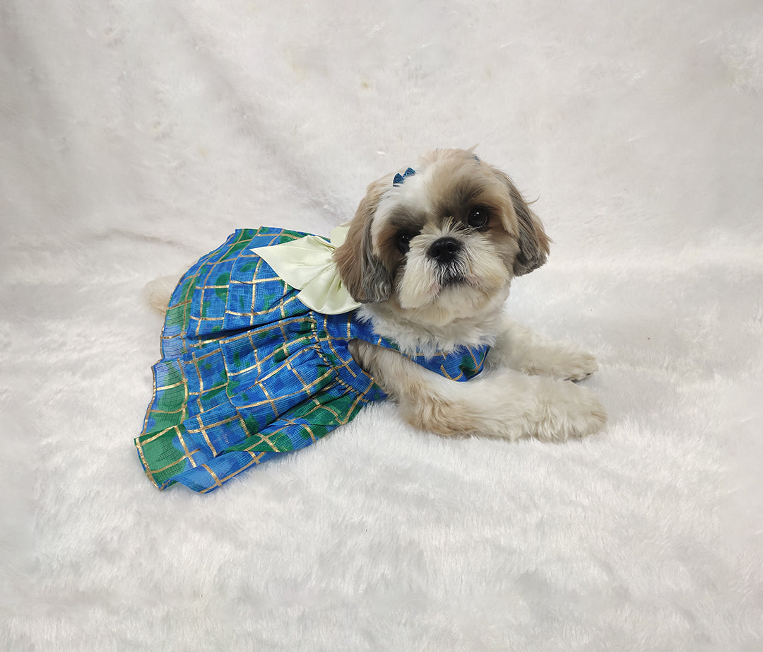 Kota Doria V-Neck Checkered Blue Frock From Floobie Tails