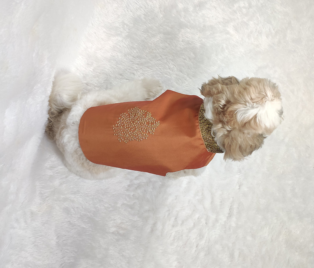 Silk Zari Embroidery Work Rust Jacket From Floobie Tails