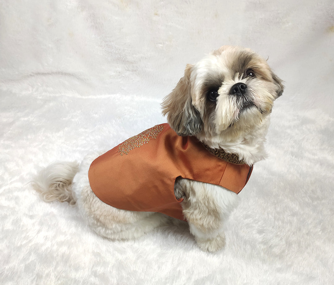 Silk Zari Embroidery Work Rust Jacket From Floobie Tails