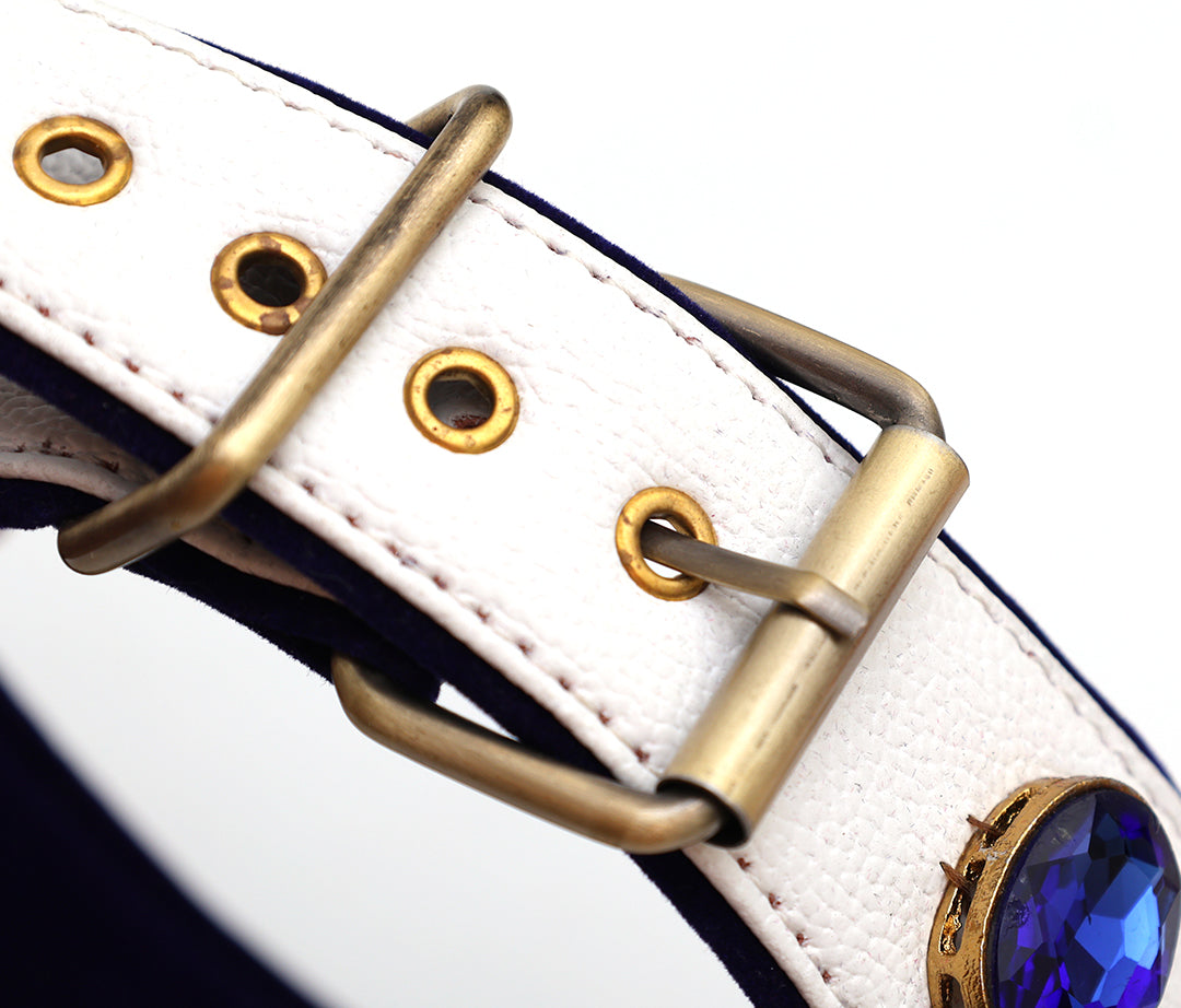 Blue Ocean Collar From PawDrip