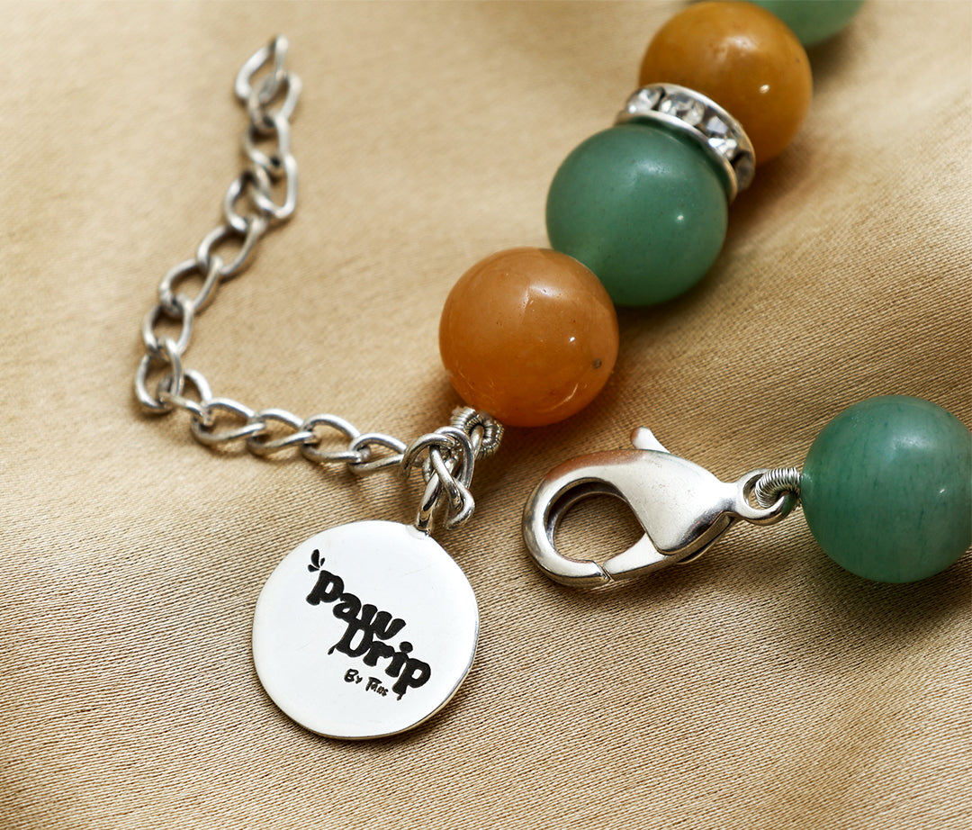 Yellow and Green Jewellery From PawDrip