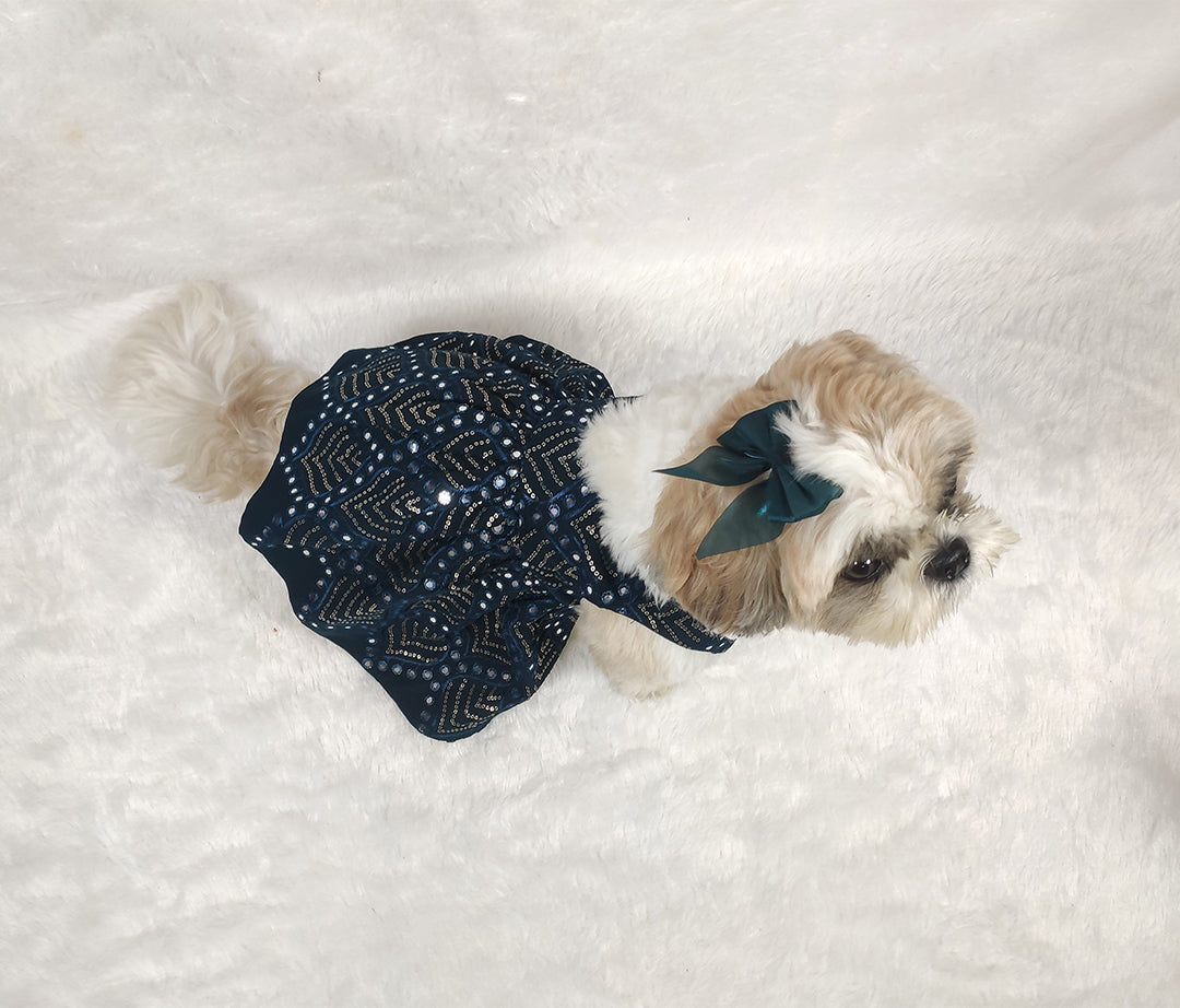 Georgette Embroidery Mirror Work Turquoise V-Neck Frock From Floobie Tails