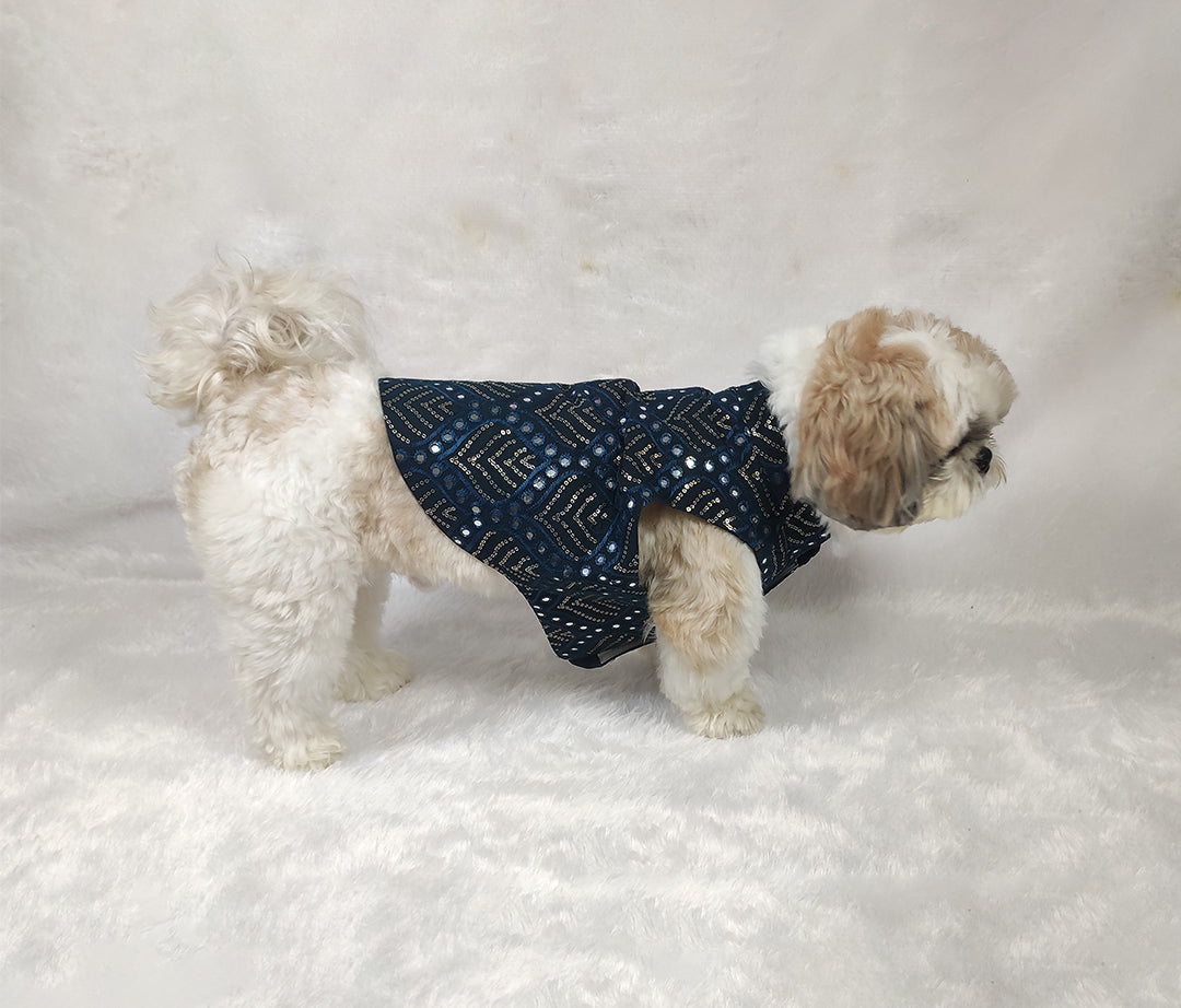 Georgette Embroidery Mirror Work Jacket From Floobie Tails