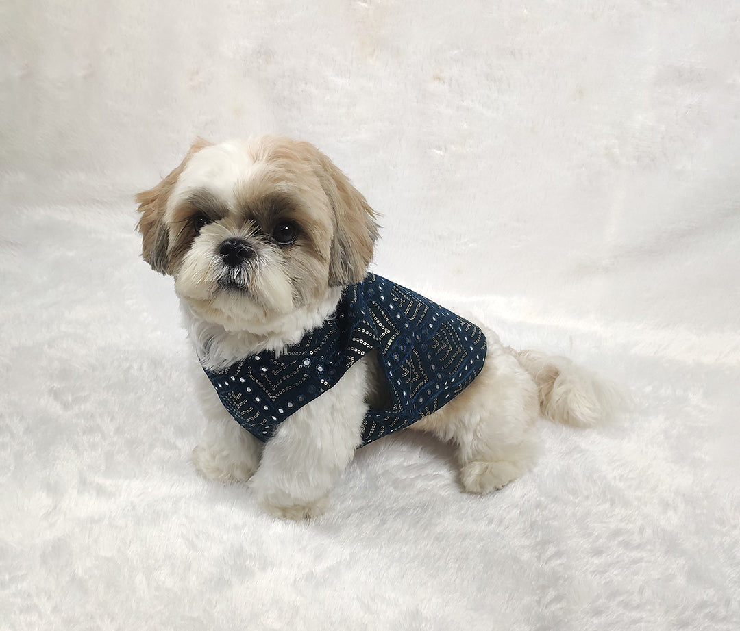 Georgette Embroidery Mirror Work Jacket From Floobie Tails