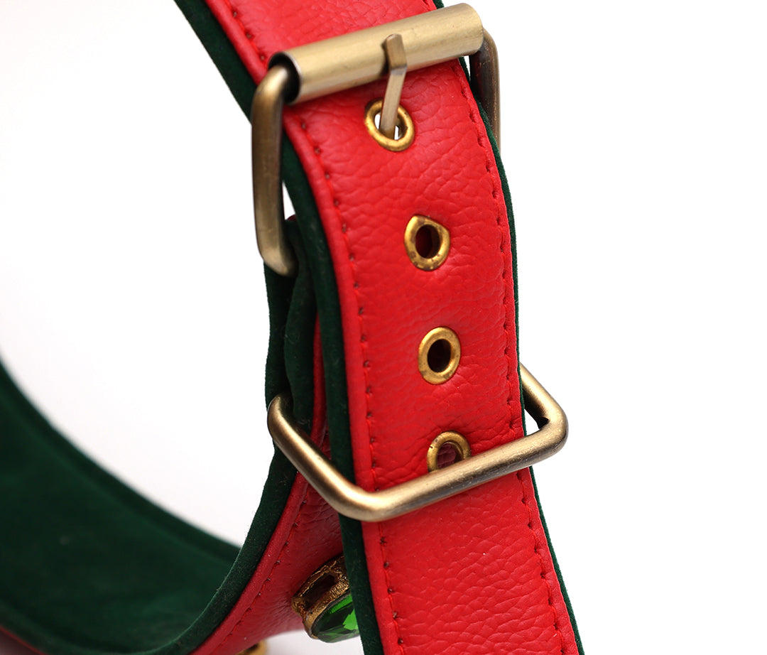 Evergreen Collar From PawDrip