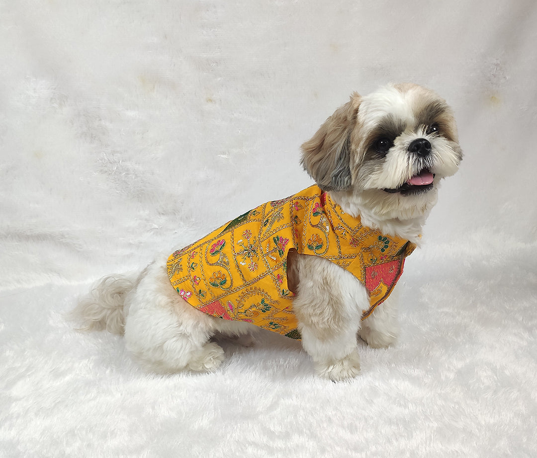 Embroidery Work Yellow Jacket From Floobie Tails
