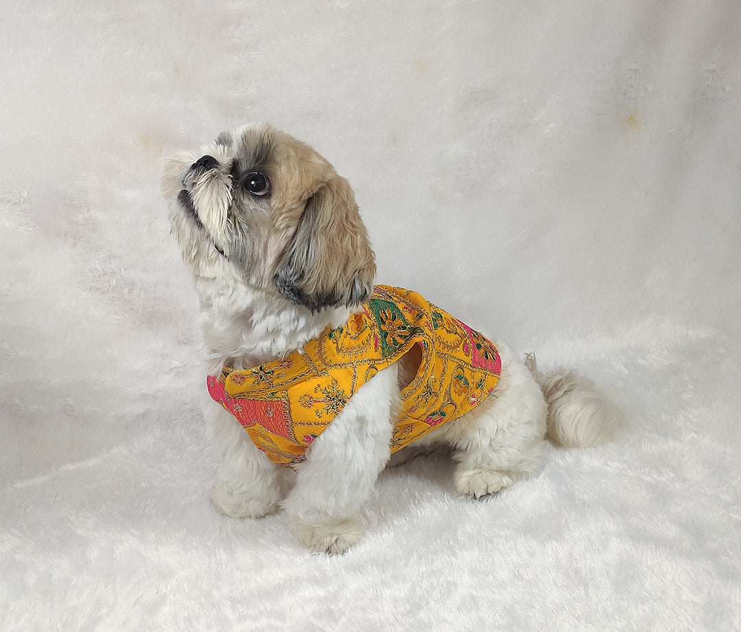 Embroidery Work Yellow Jacket From Floobie Tails