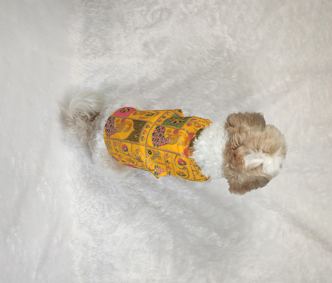 Embroidery Work Yellow Jacket From Floobie Tails