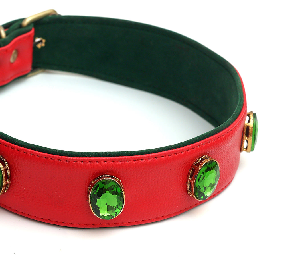 Evergreen Collar From PawDrip