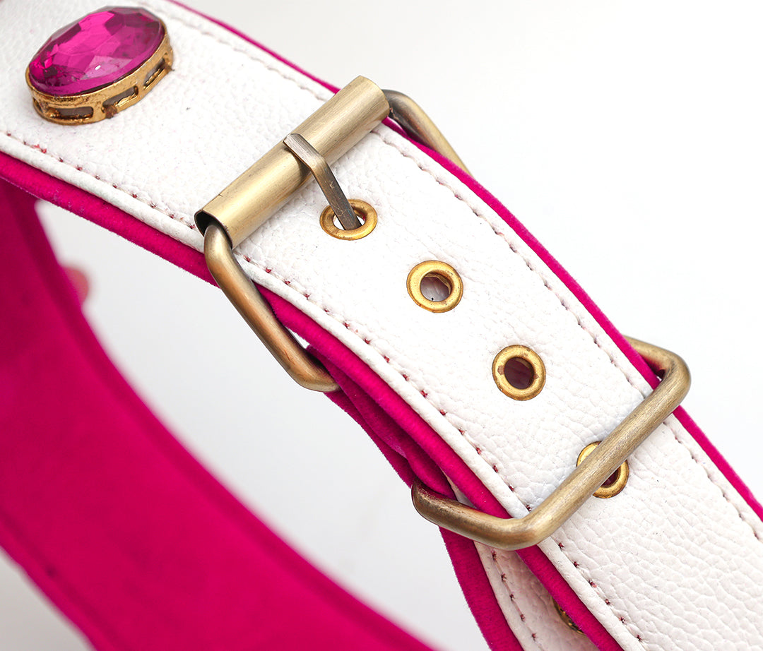 Pink Candy Collar From PawDrip