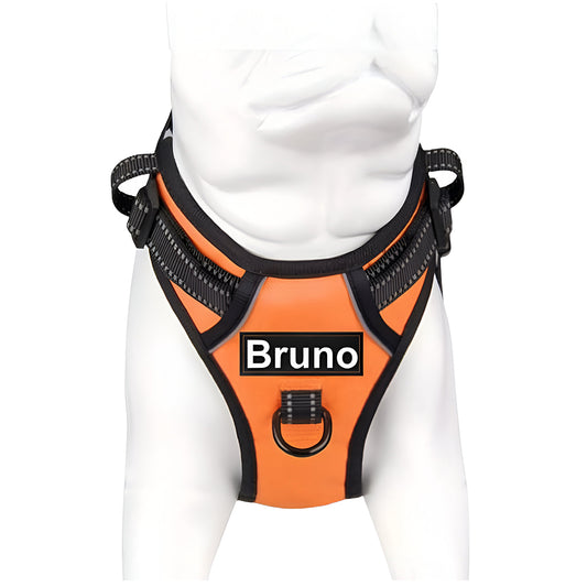 No Pull Padded Reflective Strap Personalized Dog Harness With Leash Orange