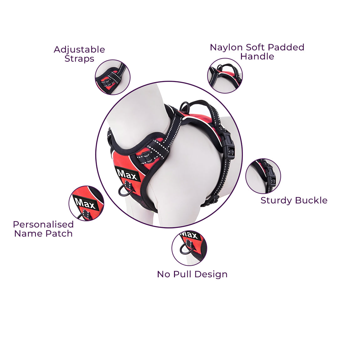 No Pull Padded Reflective Strap Personalized Dog Harness With Leash Red
